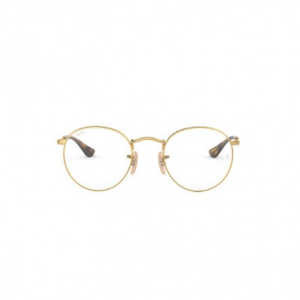 Ray-Ban  RX3447V