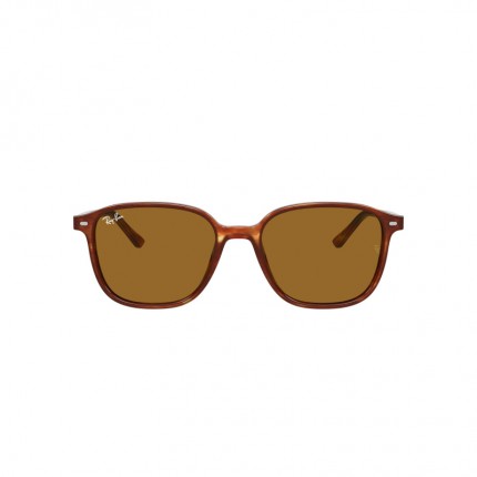 Ray-Ban RB2193