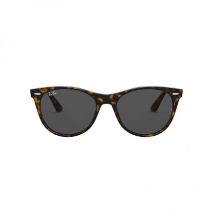 Ray-Ban  RB2185
