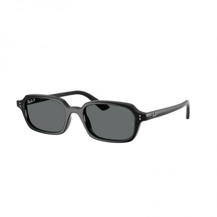 Ray-Ban RB4455